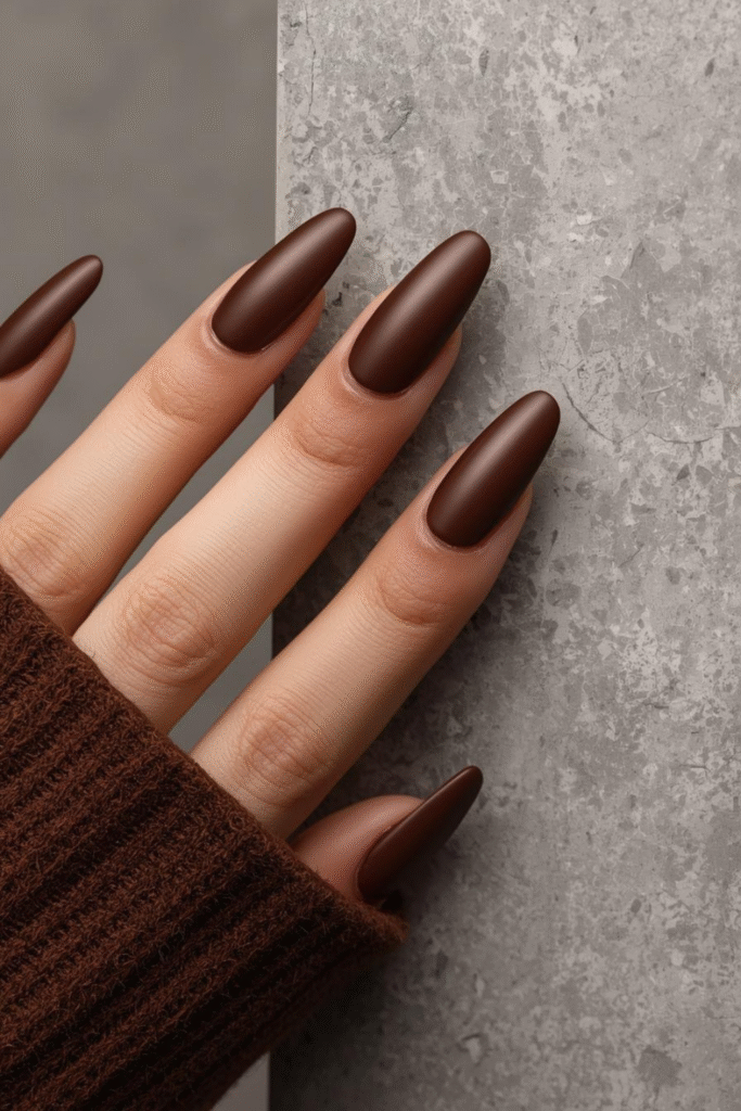 Variety of brown nail shades: matte espresso, glossy mocha, chocolate chrome, and French tips
